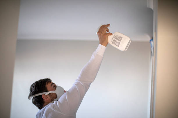 Best Same-Day Mold Removal  in Vidalia, LA