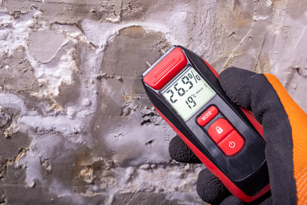 Best Commercial Mold Removal  in Vidalia, LA