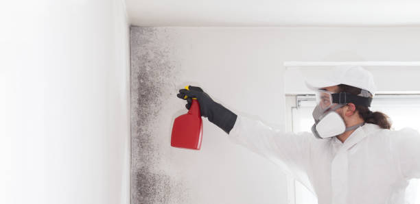 Best Mold Testing  in Vidalia, LA